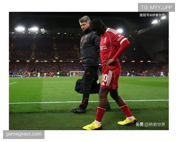 卡马文加状态回暖,助球队力克强敌 卡马文加状态回暖,助球队力克强敌