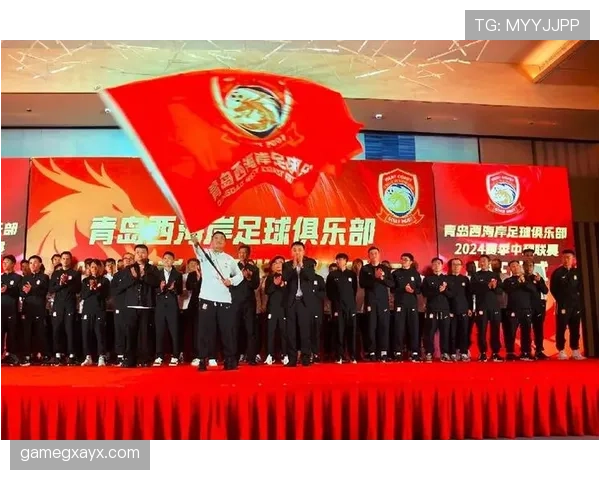 中超赛场新势力崛起，黑马球队表现稳健引发关注